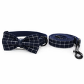 Jasper Dog Collar & Bowtie Set – Magic Dreams Collection