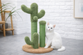 Árbol Rascador Cactus para Gatos – Magic Dreams Collection